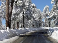 Skiing in Troodos